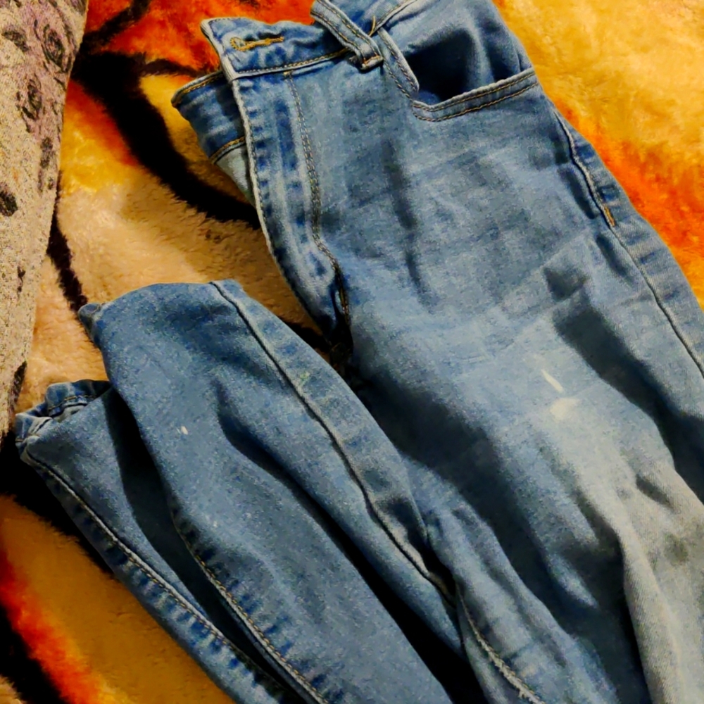 Traveling pants